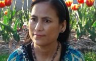 स्मृतिका डोबहरूस्मृतिका डोबहरू- जुनु क्षेत्री