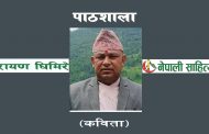 पाठशाला - नारायण घिमिरे