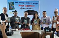 भण्डारीको गैरआख्यान ‘नेपाली युद्धसाहित्य’ सार्वजनिक